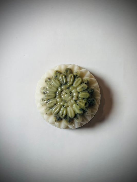 Rosemary & Mint Shampoo Bar